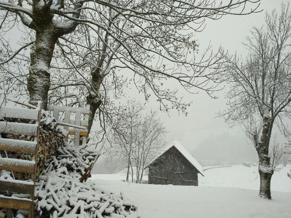 Chalet Lucie Le Cheval Noir Valmorel Exterior foto